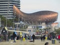 Frank GehryÃ¢â¬â¢s Golden Fish Sculpture. Barcelona.